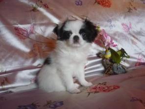 �������� ���. �������. ����� ��������� � �������.