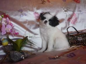 �������� ���. �������. ����� ��������� � �������.