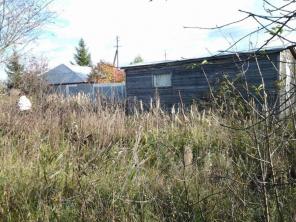 ������� 15, 8 ���.  �.  ������������, �������� �.