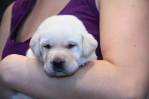 ������� ����� ��������� ���������.