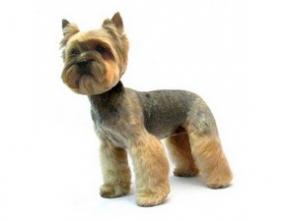 ������� ����� � ����� ���� �����.