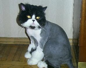 ������� ����� � ����� ���� �����.