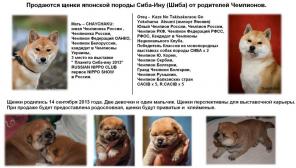 ���������  ����� �� ��������� ���������