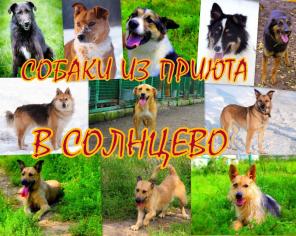 ���������� �������� - �������� ������ �� ������!