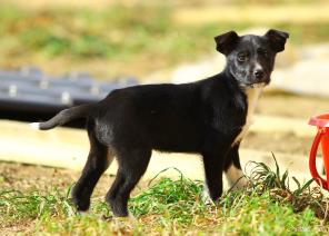 ��� �������������� ������� ���� ������! (� ���)