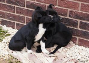 ��� �������������� ������� ���� ������! (� ���)