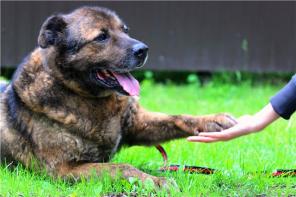 ����. ����������� ������� � ���