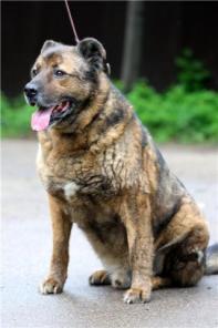 ����. ����������� ������� � ���