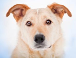 ���������� ��������� �����, ��������� ������ � ����� ����! ������ � ���.