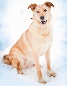 ���������� ��������� �����, ��������� ������ � ����� ����! ������ � ���.