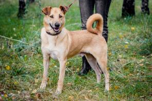 ����� - ������� ������� � ����� �������� ���