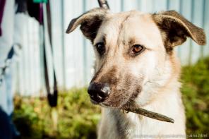 ларри очень трогательный мальчик