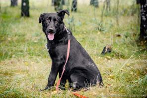 Марго - срочно разыскивается самая добрая и любящая семья