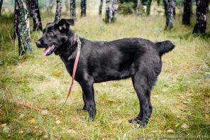 Марго - срочно разыскивается самая добрая и любящая семья