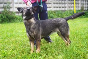 �������� � ������ ���� ������� ����!