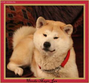 ����� ����� �����-��� (������) ������ � ������ ������