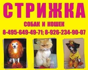 ������� ����� � �����