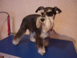 ������� ����� � �����