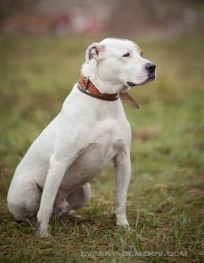 ����� ���������