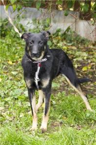 ����������� ������ ���� � ���