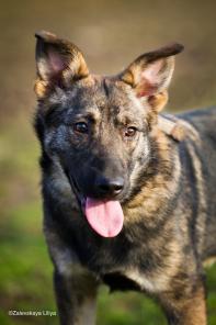 �������� ������ ���� � ���