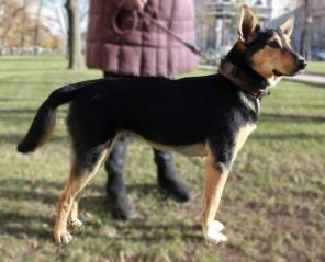 ������ �����  ������ �������� �������