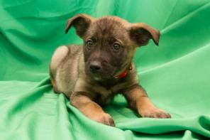 �������� �������� ���� � ������ ����, ����� � ���!