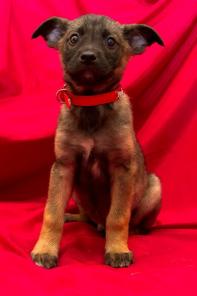 �������� �������� ���� � ������ ����, ����� � ���!