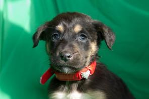 ������� �����, ����� � ������ ����, � ���!