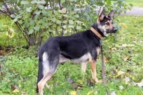 �����, �������� �������  � ���������, � ���!