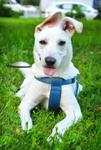 ����������� �������� ����� ���� ���� ������� �����!