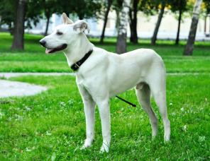 ����������� �������� ����� ���� ���� ������� �����!