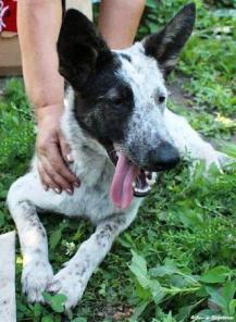 ������� ��� � ������ ����