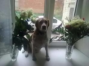 ����� �����