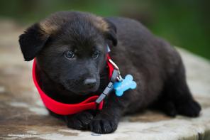 ��� ������������� ������� ����� ������ ������!