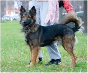 ����� ������ � ����������� �� � ����� ������ �����!