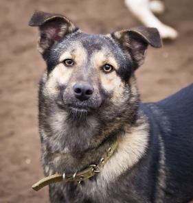 �������������� ��������� ������� � ������ ����.