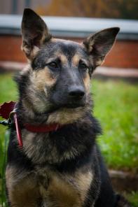 ���� ����, ����� ������� ���� ������� �����