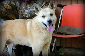 Бутон украсит вашу жизнь