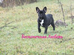 ����� ������������ ��������