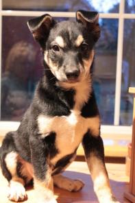 ��� ���������, ����� ������� � ����� ���� ����� ���!