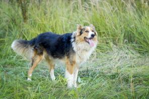 �����, ��������� ����� ����� � ���