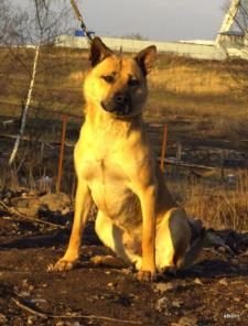 ����� ����� ��� �����