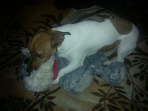 ������� ������