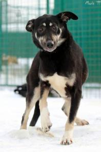 ������. ������� ������� ������� ��� �������(� ���)