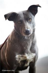 ������� �������� ��������� � ������ ����.