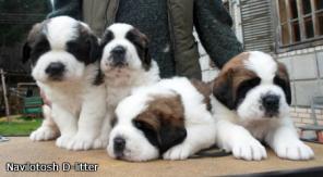 ������ ������ ����������