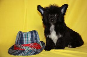 ����� ��������� �������� ������