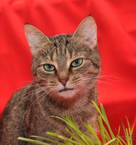 ������������ ��������� � ������ ����� ���� ���.