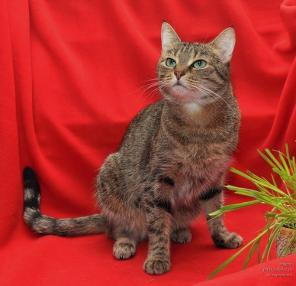 ������������ ��������� � ������ ����� ���� ���.